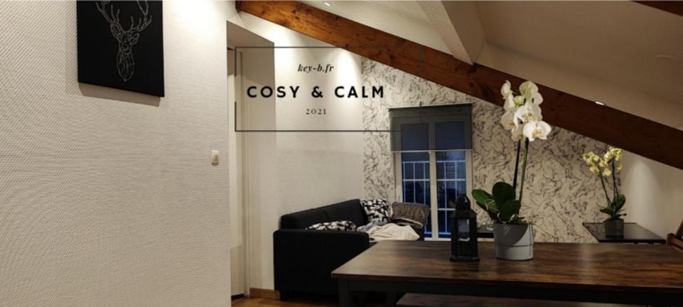 Calm & Cosy Leilighet Freyming-Merlebach Eksteriør bilde